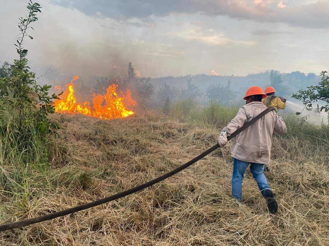 Los últimos dos incendios consumieron 7 hectáreas de sembradíos de limón persa y sus sistemas de riego
