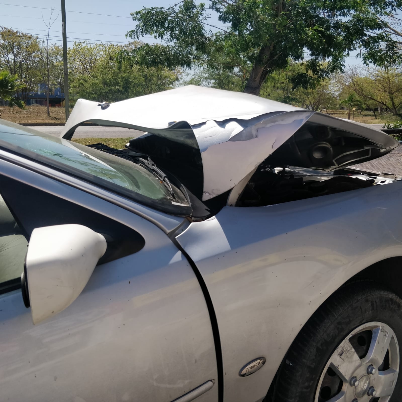 Elementos de la SSP se encargaron del accidente de tránsito en Mérida Elementos de la SSP se encargaron del accidente de tránsito en Mérida