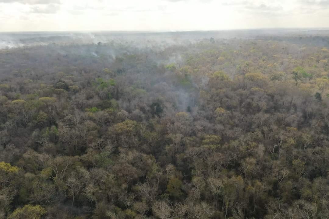 El fuego arrasa con la zona de Chun Ek, perteneciente al municipio de Hopelchén, Campeche