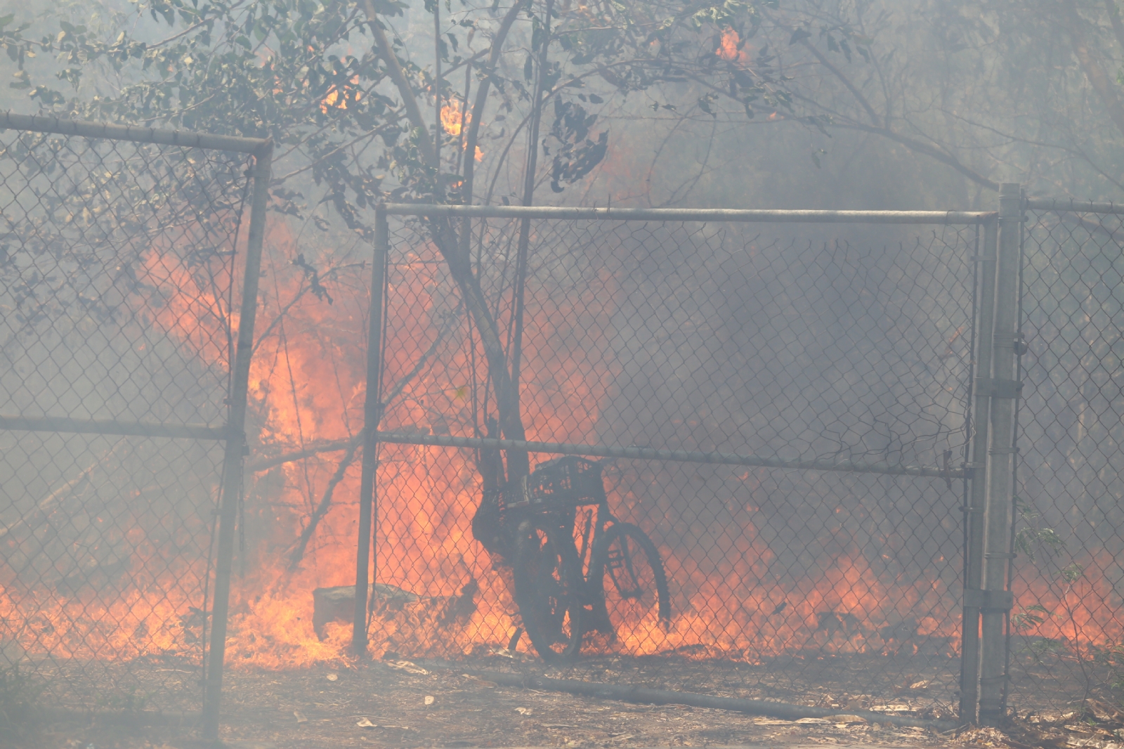 Según datos de la dependencia, el año pasado se reportaron al menos 418 incendios
