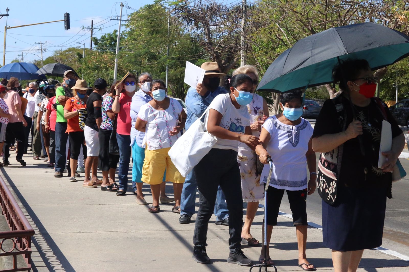 Abuelitos hicieron fila desde tempranas horas de este sábado en el Tecnológico de Mérida Abuelitos hicieron fila desde tempranas horas de este sábado en el Tecnológico de Mérida