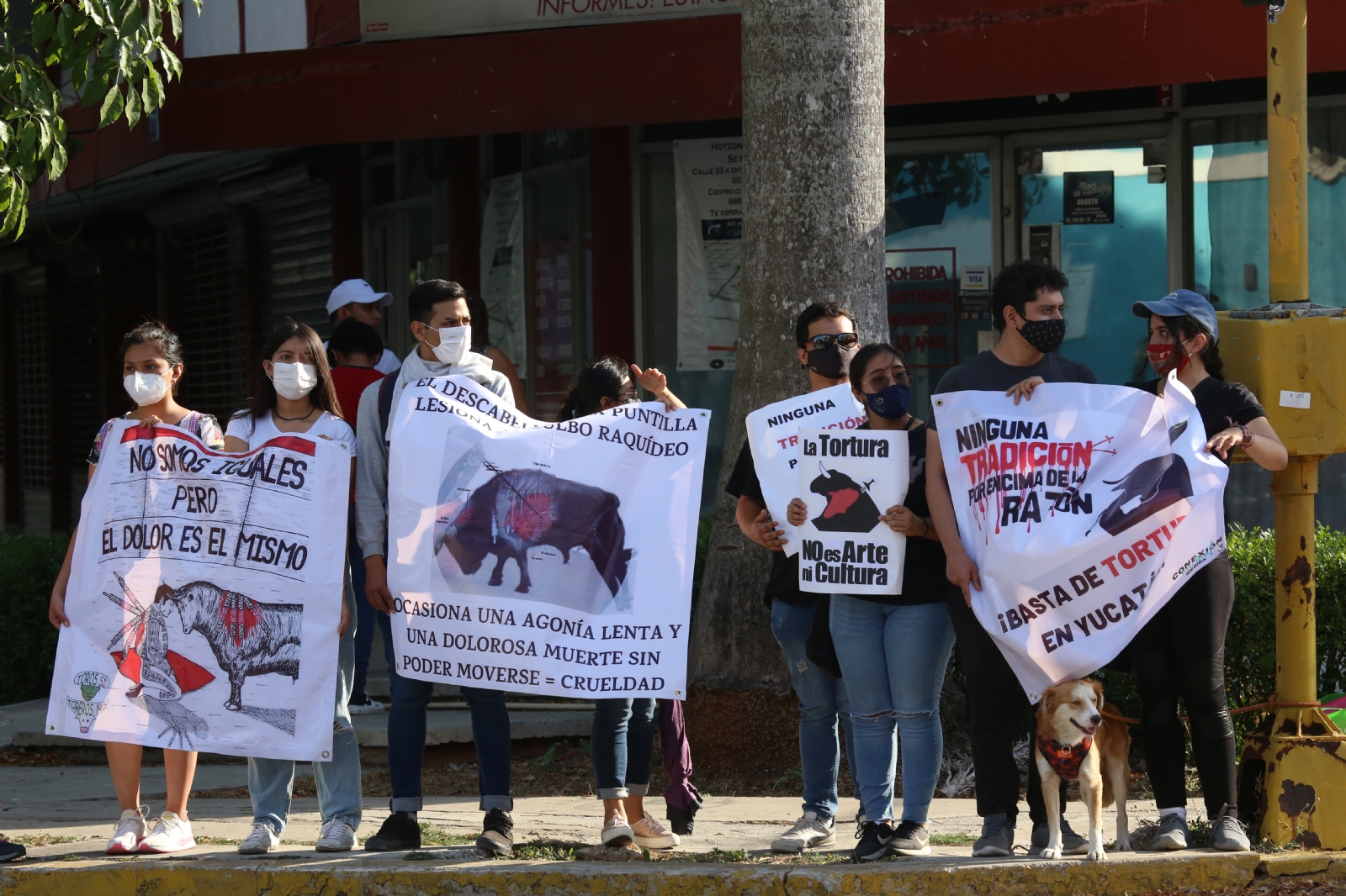 Animalistas aseguran que la tortura  animal no es arte ni cultura, por lo que se manifestaron afuera de la Plaza de Toros Mérida