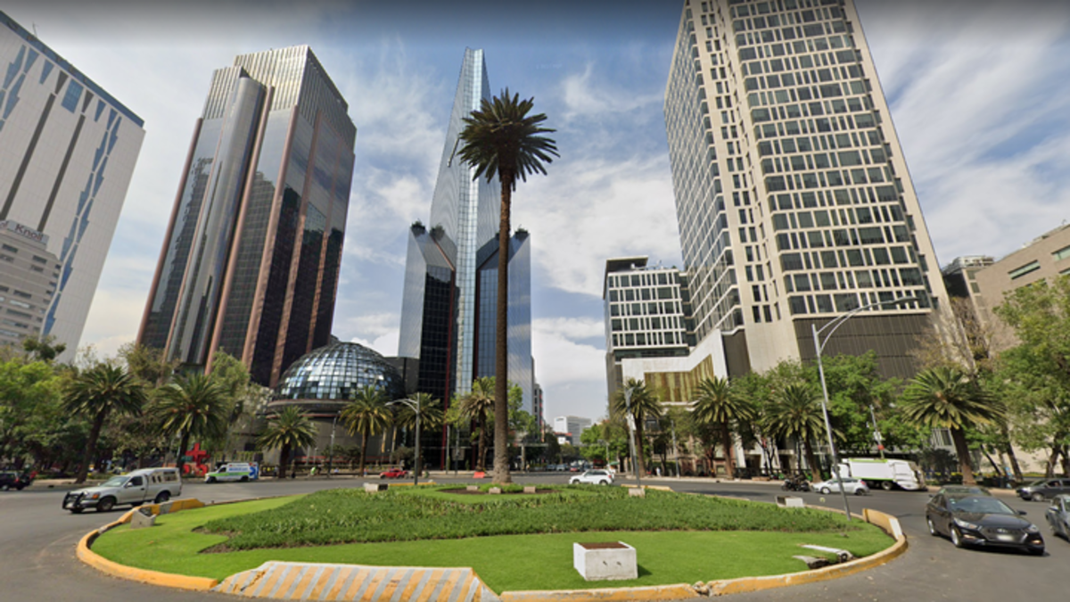 La ciudadanía tendrá hasta el 1 de mayo para decidir qué tipo de árbol va a sutituir a la histórica Palma de Reforma