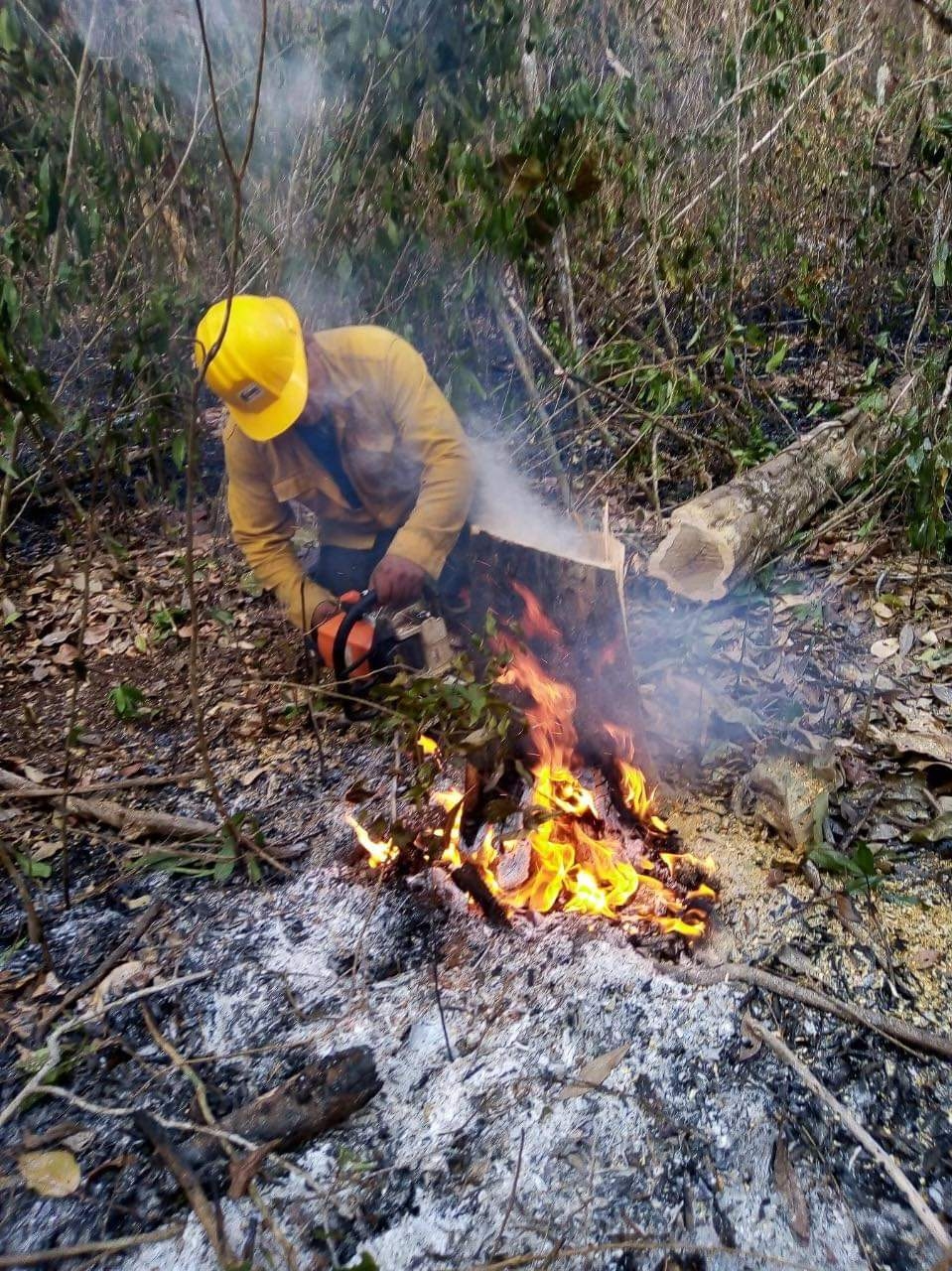 El incendio inició el pasado 22 de abril y hasta el momento se han consumido más de dos mil hectáreas