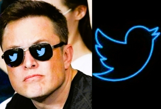 El anuncio de que Elon Musk compró Twitter sorprendió al mundo de las redes sociales. Foto: Especial