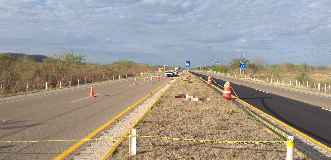 Elementos de la FGE de Campeche se encargaron del levantamiento del cuerpo Elementos de la FGE de Campeche se encargaron del levantamiento del cuerpo