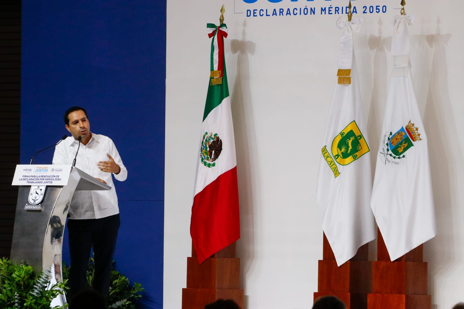 En la Declaración Mérida 2050, se contempló la reforestación de 100 mil árboles En la Declaración Mérida 2050, se contempló la reforestación de 100 mil árboles