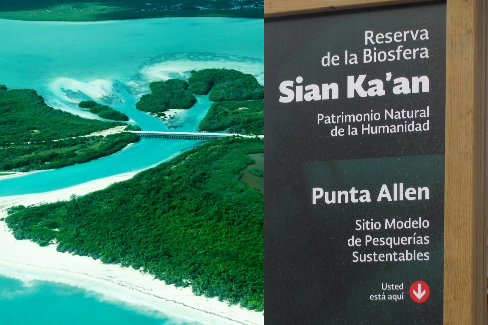 Conoce la Reserva de Sian Ka'an, amenazada por los tuluminatis