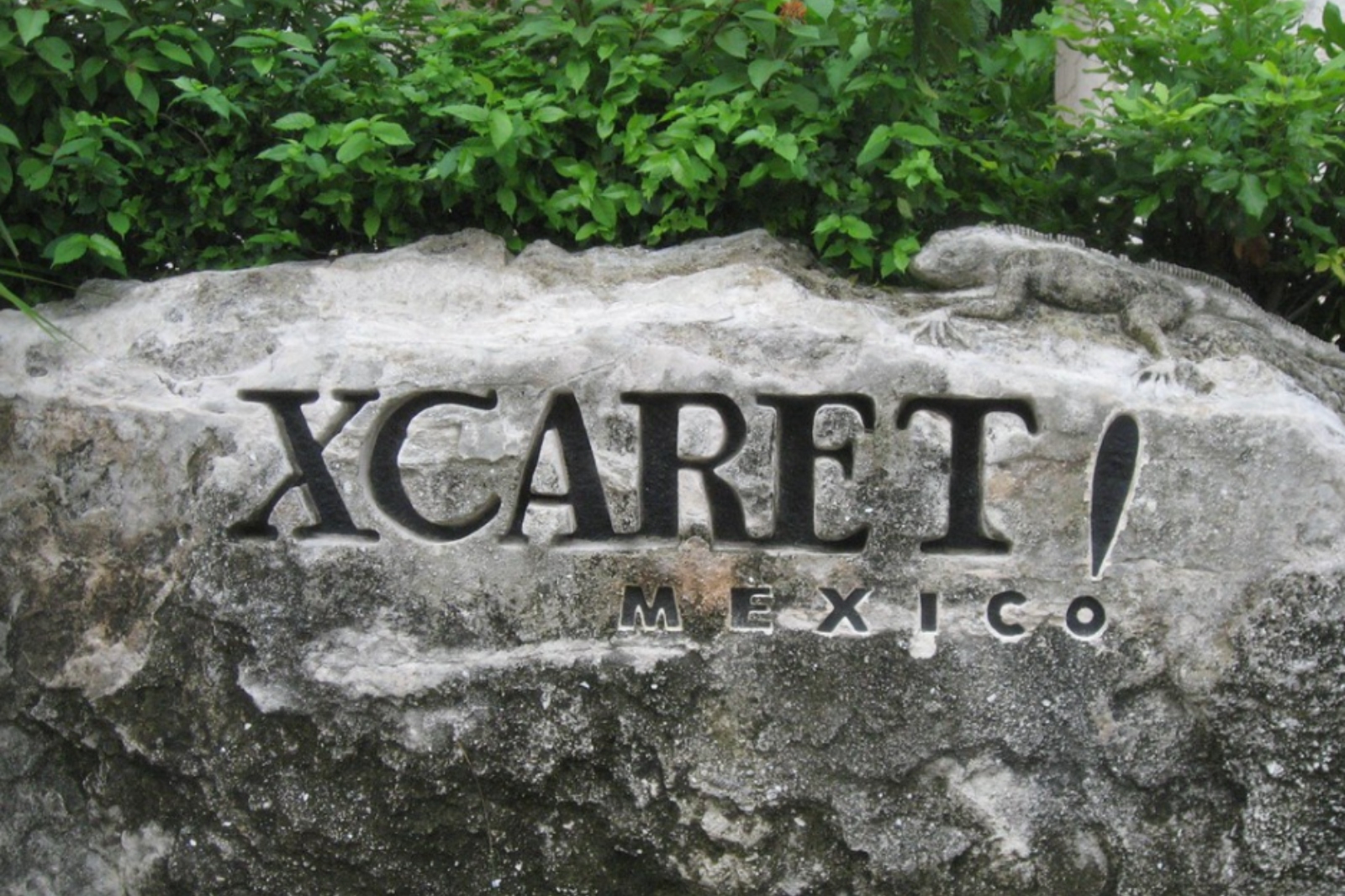 Grupo Xcaret fue fundado por Miguel Quintana Pali, quien actualmente sigue al frente de la Dirección General