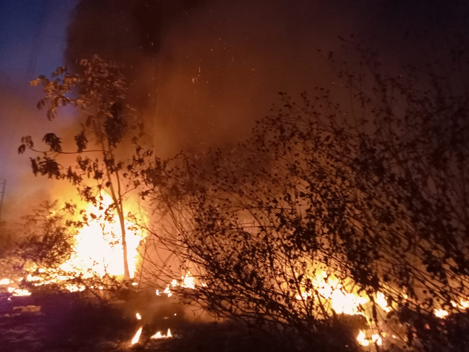 Los vecinos fueron quienes llamaron al número de emergencias 911, al percibir el olor a quemado