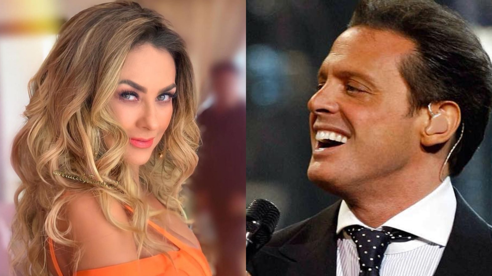 Luis Miguel y Araceli Arámbula sostuvieron una relación hace ya varios años en la que tuvieron dos hijos