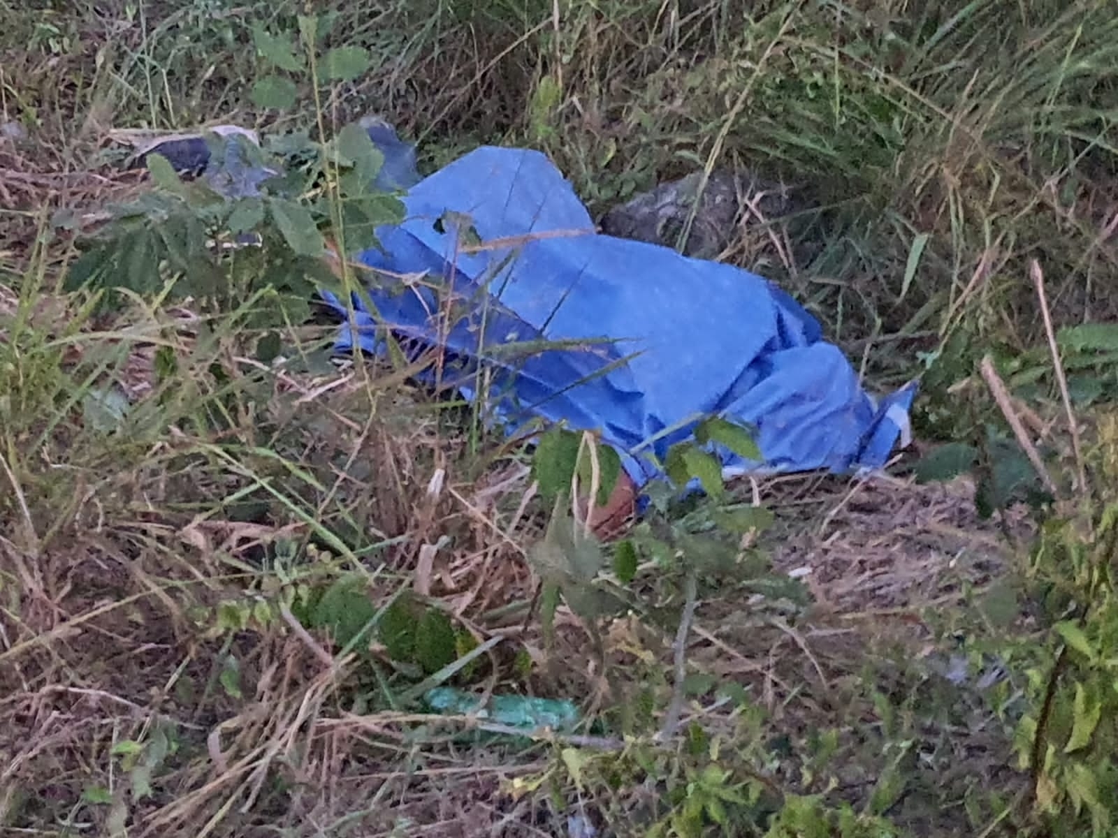 El conductor de la motocicleta murió en la zona del accidente, cerca del entronque para ir a la comunidad 'Álvaro Obregón Nuevo' al Sur de Quintana Roo El conductor de la motocicleta murió en la zona del accidente, cerca del entronque para ir a la comunidad 'Álvaro Obregón Nuevo' al Sur de Quintana Roo