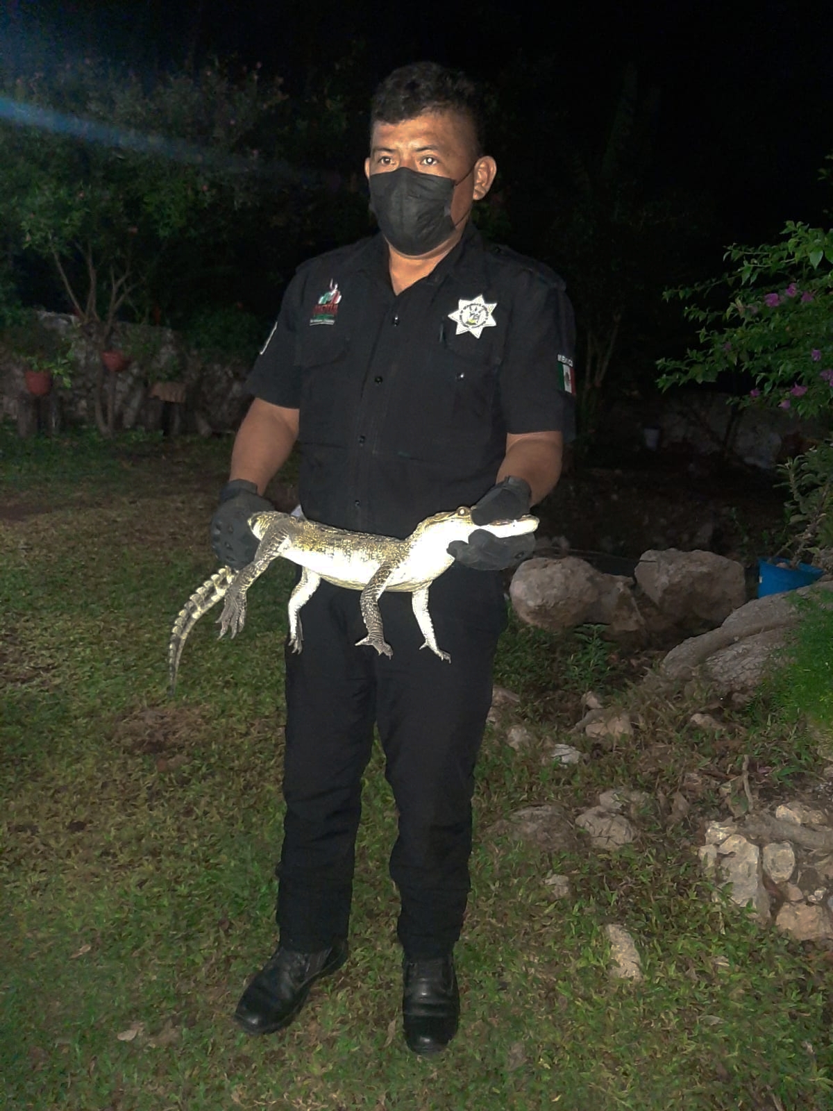 Policías creen que el animal podría ser mascota de un vecino