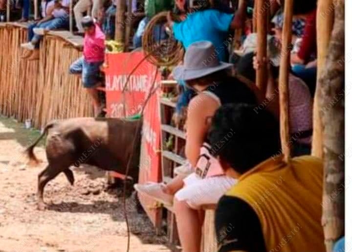 Jinetes salieron en su búsqueda y captura para regresarlo al establo Jinetes salieron en su búsqueda y captura para regresarlo al establo