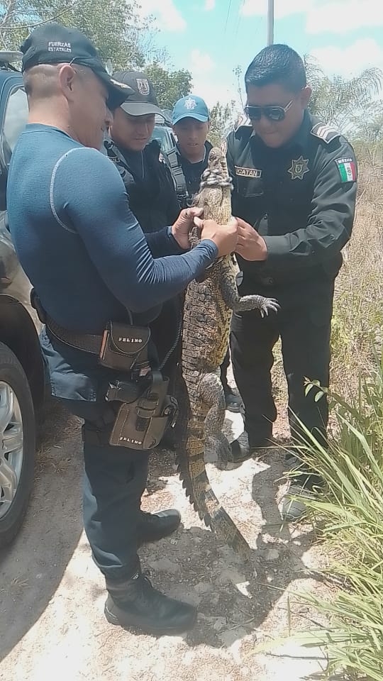 El animal fue visto por trabajadores del rancho El animal fue visto por trabajadores del rancho