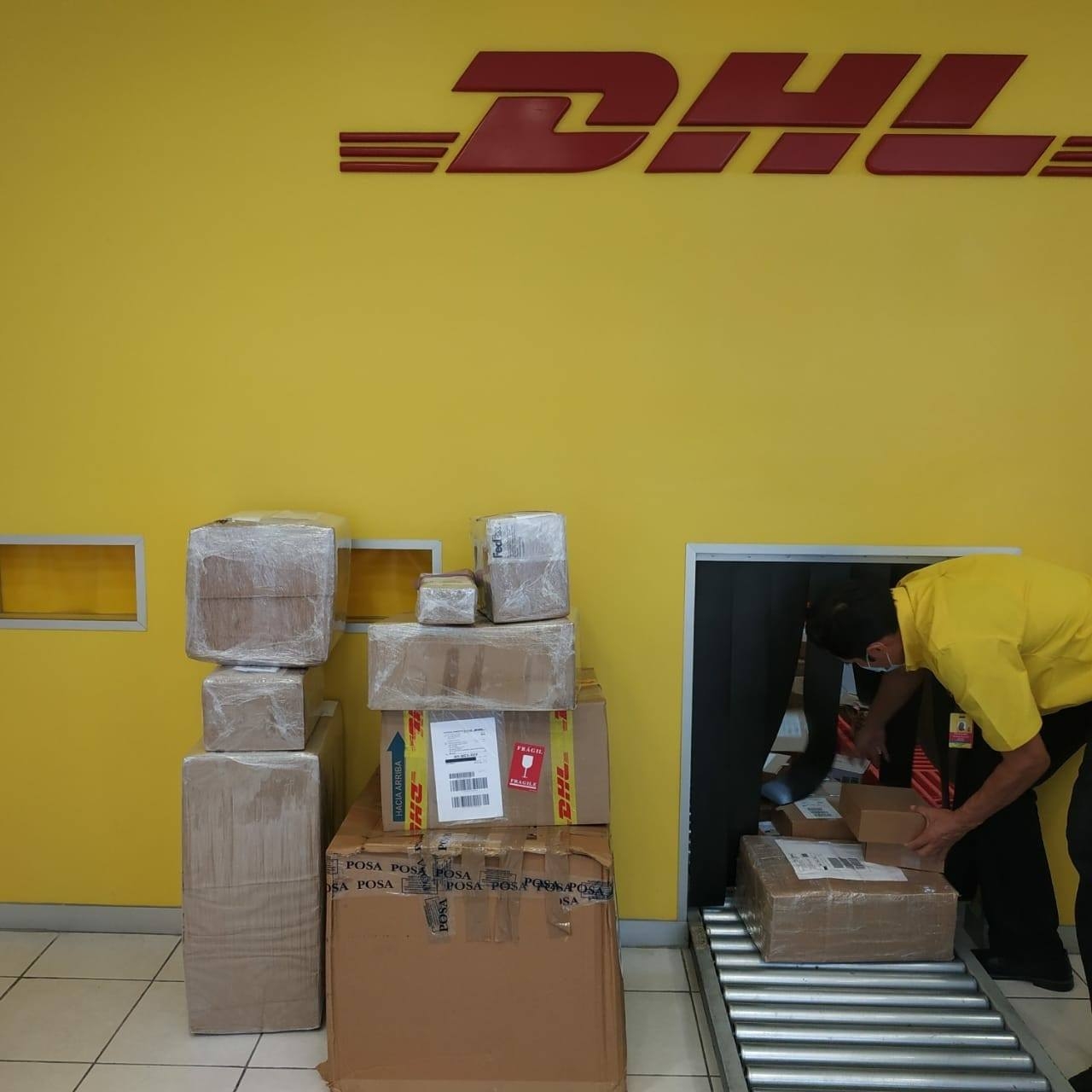 Para engañar, los delincuentes usaron documentos falsos del Gobierno federal Para engañar, los delincuentes usaron documentos falsos del Gobierno federal