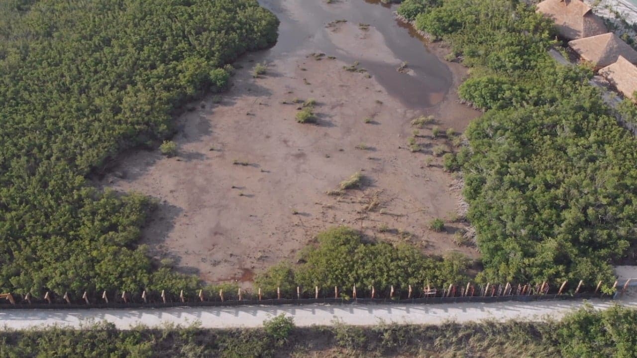 El dron de la Asociación Cielo, Tierra y Mar en Cozumel captó cómo luce la laguna en la zona de Palancar, que ya fue secada El dron de la Asociación Cielo, Tierra y Mar en Cozumel captó cómo luce la laguna en la zona de Palancar, que ya fue secada