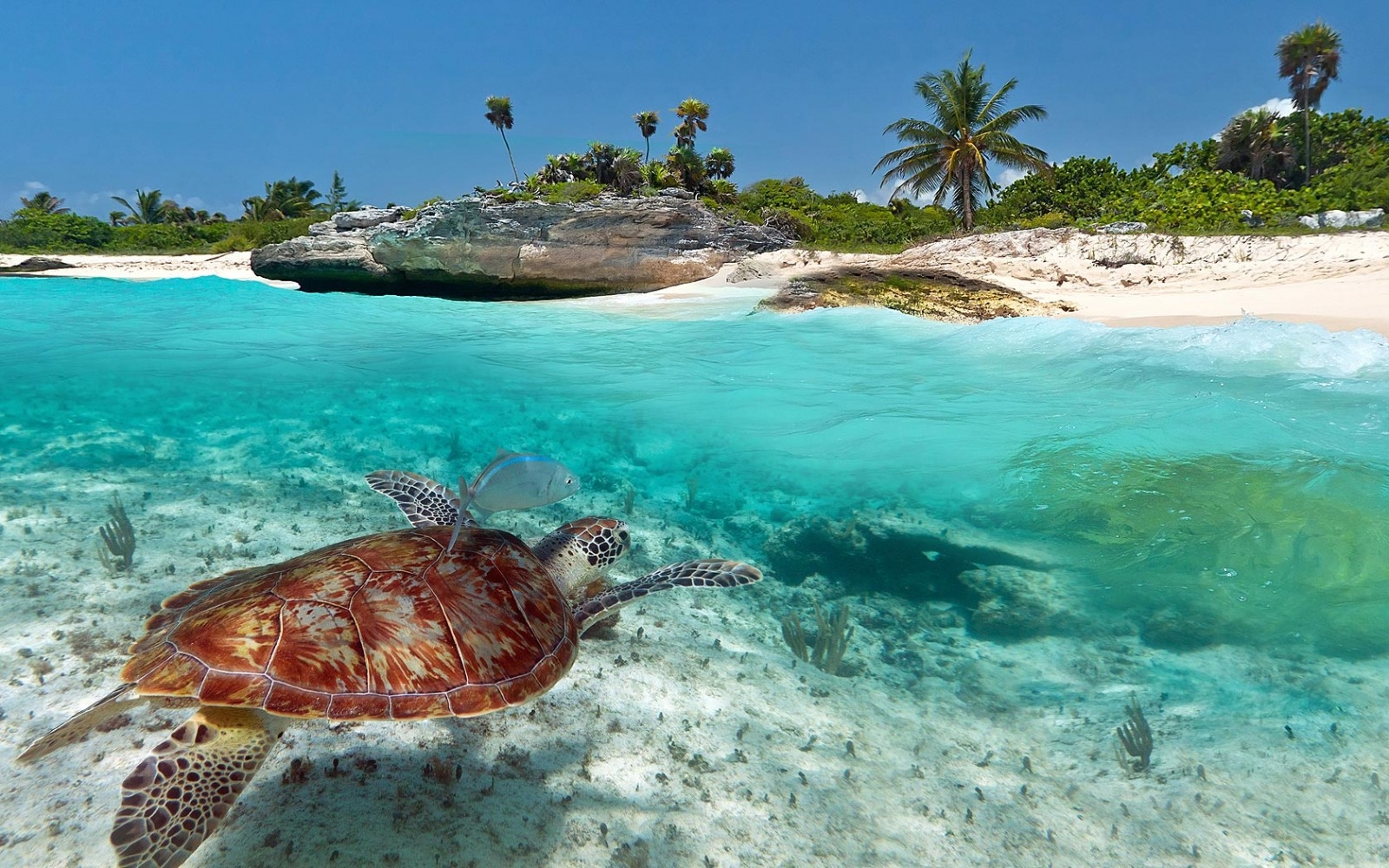Playa del Carmen es una de las ciudades turísticas que conforman la Riviera Maya en Quintana Roo, contando con más de 10 arenales