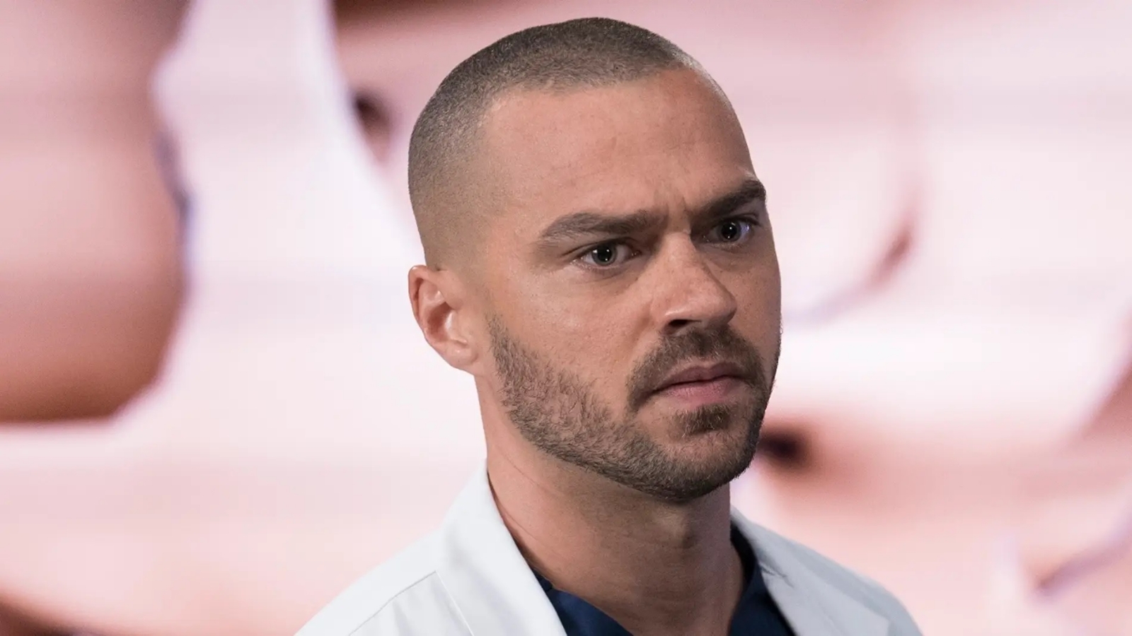 Jesse Williams ha actuado en otras series, entre ellas Grey's Anatomy Jesse Williams ha actuado en otras series, entre ellas Grey's Anatomy