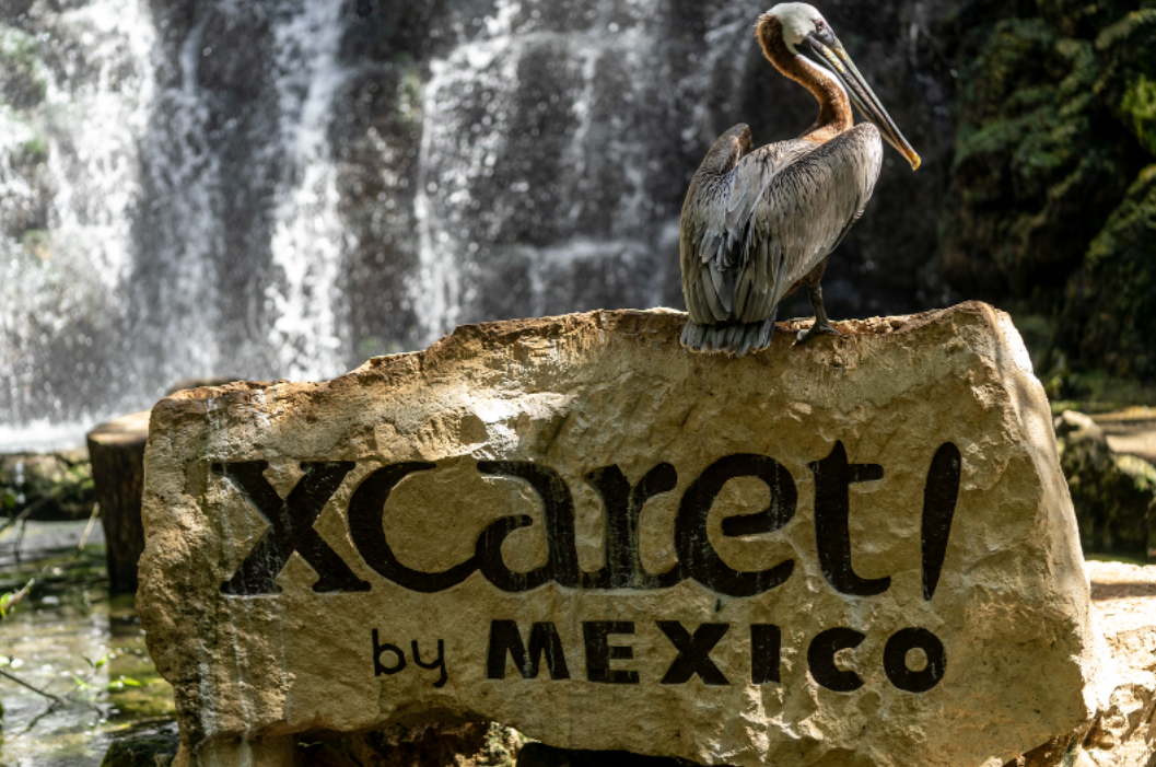 'Los Xcaretos' tienen lazos con el medio artístico y político de México, debido a que algunos familiares de los socios se desarrollan en dichos rubros