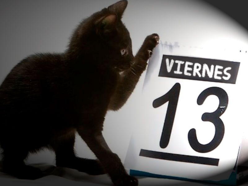 Las supersticiones pueden llegar a afectar a otras criaturas como los gatitos negros. Imagen: Ilustrativa Las supersticiones pueden llegar a afectar a otras criaturas como los gatitos negros. Imagen: Ilustrativa