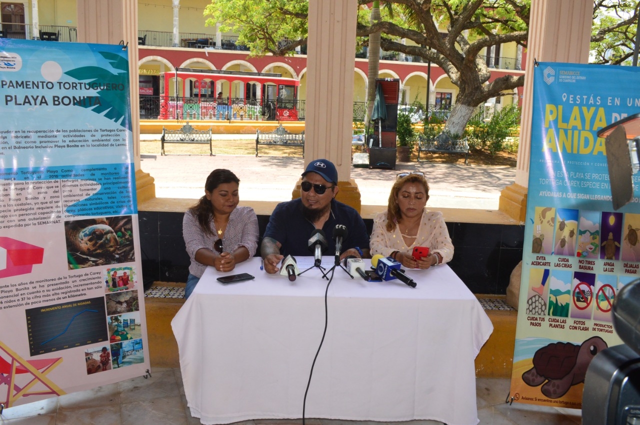 En Campeche existen 14 campamentos tortugueros donde se han contabilizado 291 nidos de tortugas
