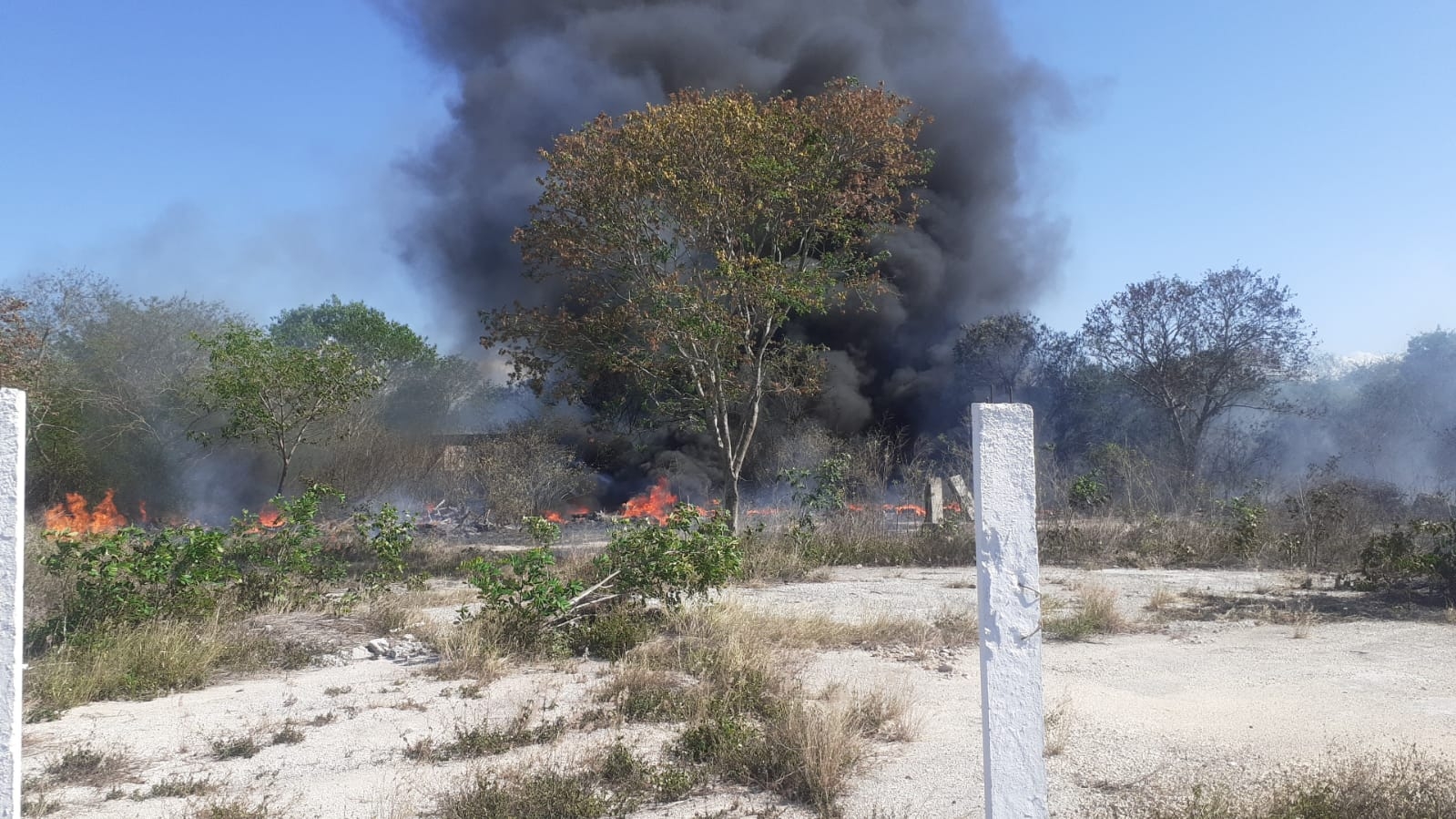 El fuerte incendio se registró en los terrenos de los hermanos Yañez ubicado en el km 18+500 de la carretera federal Mérida-Motul El fuerte incendio se registró en los terrenos de los hermanos Yañez ubicado en el km 18+500 de la carretera federal Mérida-Motul