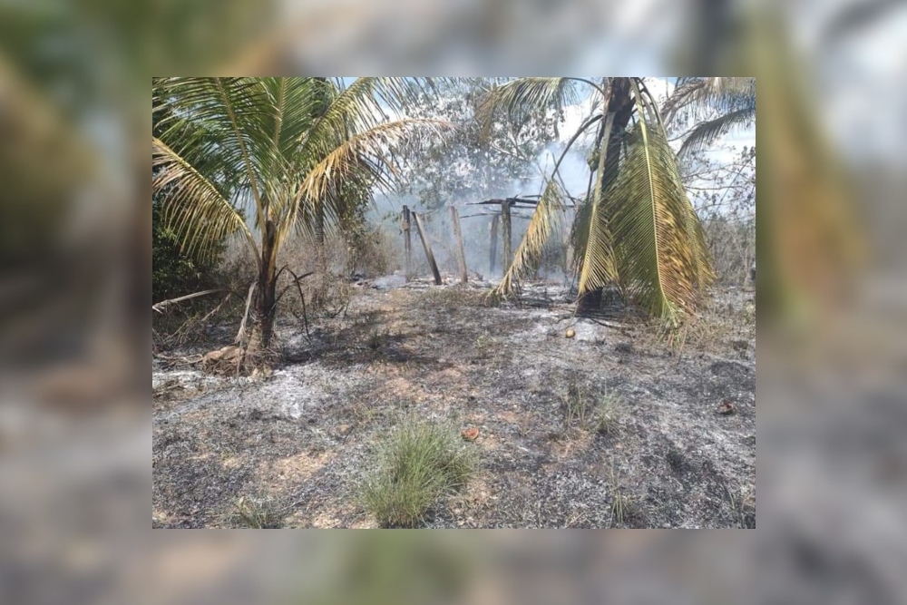 Las llamas fueron controladas bomberos de Kantunilkín, pues la zona 'Los Agucatales' es un área de pastizales en Quintana Roo