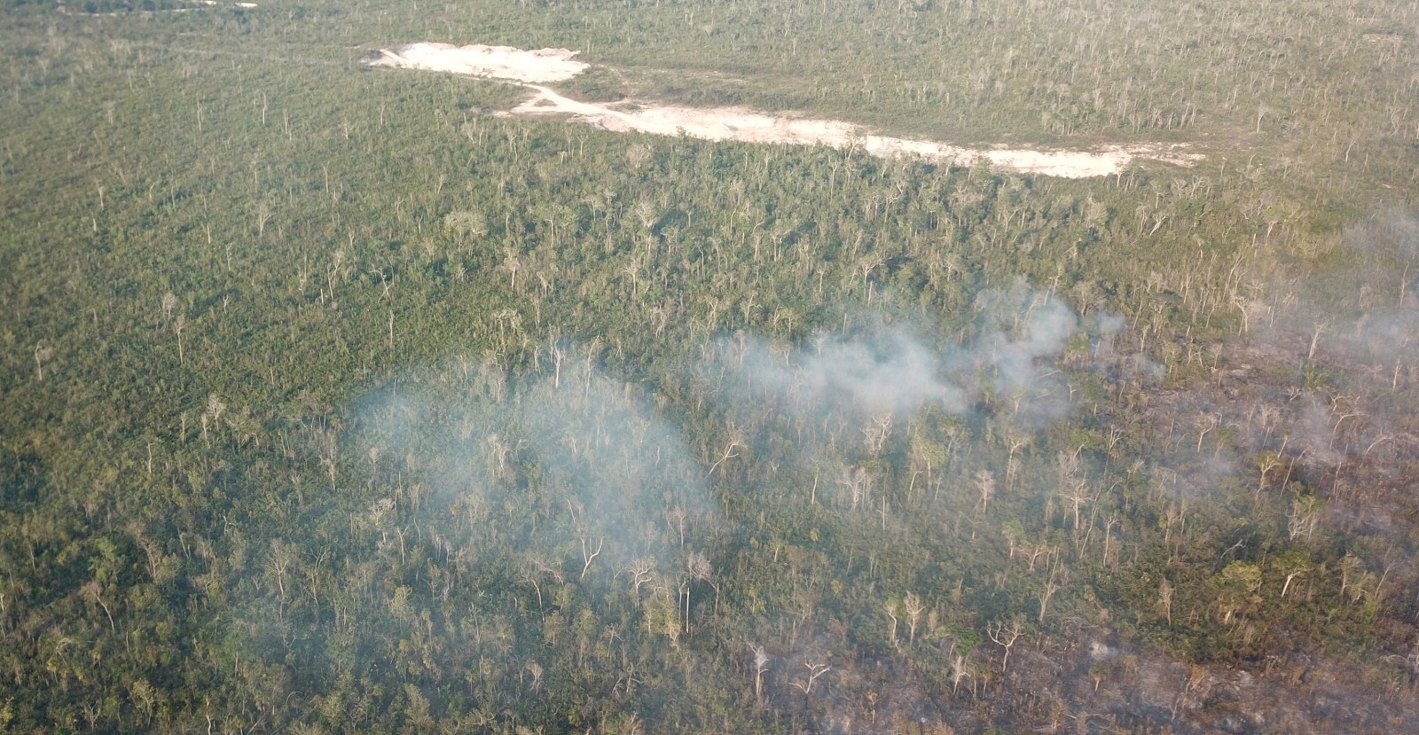 El Incendio en la carretera Mahahual–Pulticub aún no ha sido controlado, por lo que podría consumir más selva baja de la Zona Sur de Quintana Roo
