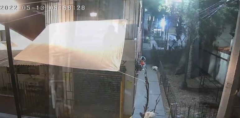 La mujer fue víctima de violencia por un hombre en la alcaldía Iztacalco. Foto: Captura de Pantalla
La mujer fue víctima de violencia por un hombre en la alcaldía Iztacalco. Foto: Captura de Pantalla