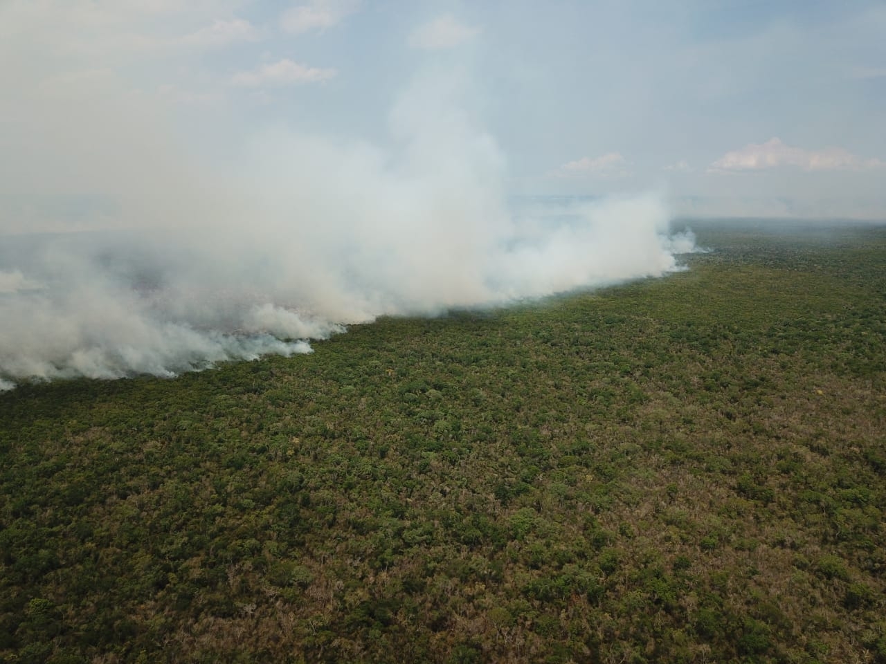 El incendio forestal avanzó en la zona selvática de Uxuxubi, ubicada en el Sur de Playa del Carmen, donde la Conafor y bomberos combaten el fuego