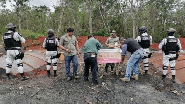 La pérdida de población de árboles de diversas especies reduce los beneficios y calidad de vida en la Entidad campechana, principalmente en la zona de los ríos.