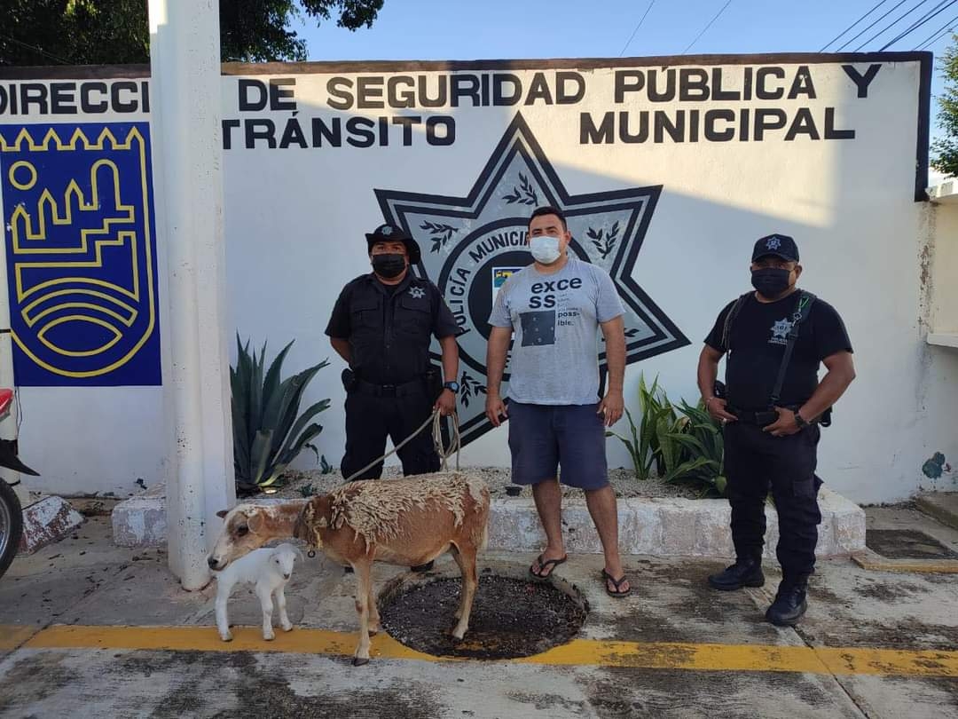 Los malhechores abandonaron el motín para evitar ser capturados