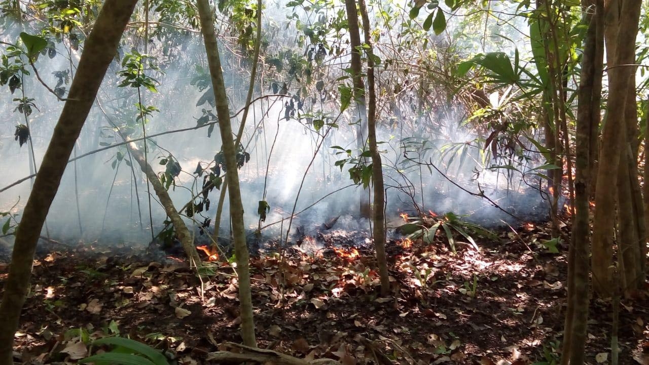 Hasta el momento se desconocen las hectáreas afectadas en Campeche