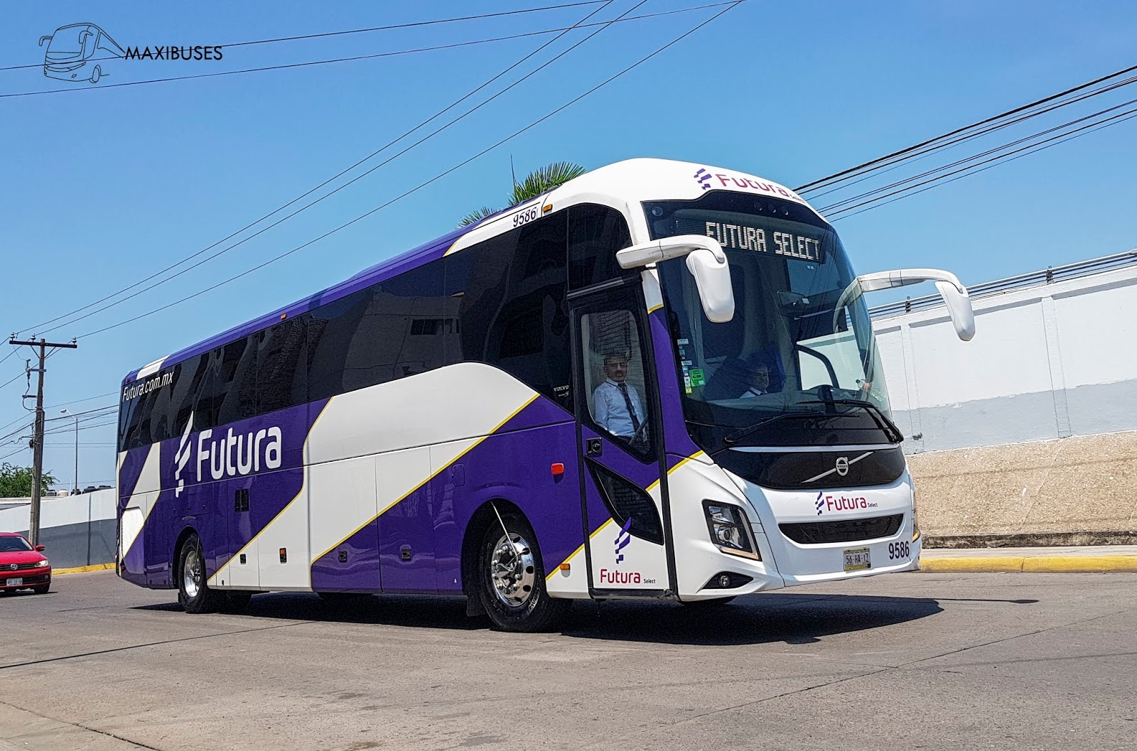 Autobuses Futura habría sido responsable de la muerte de un perrito en un viaje de Poza Rica a Ciudad de México Autobuses Futura habría sido responsable de la muerte de un perrito en un viaje de Poza Rica a Ciudad de México