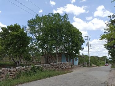 Desde el día viernes a las 11:00 horas ningún vecino tiene luz Desde el día viernes a las 11:00 horas ningún vecino tiene luz