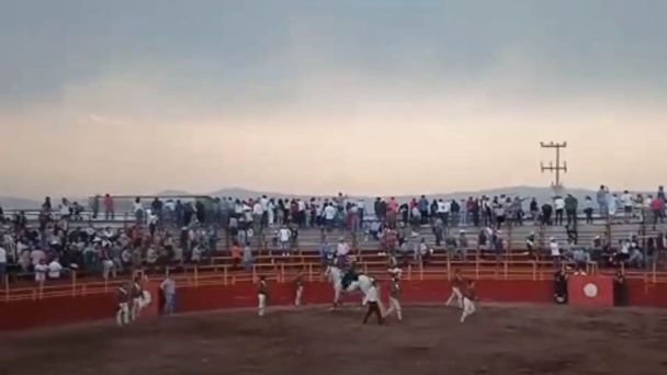 Servicios de emergencia que se encontraban en el lugar de los hechos informaron que tres policías fueron lesionados y un rejoneador Servicios de emergencia que se encontraban en el lugar de los hechos informaron que tres policías fueron lesionados y un rejoneador