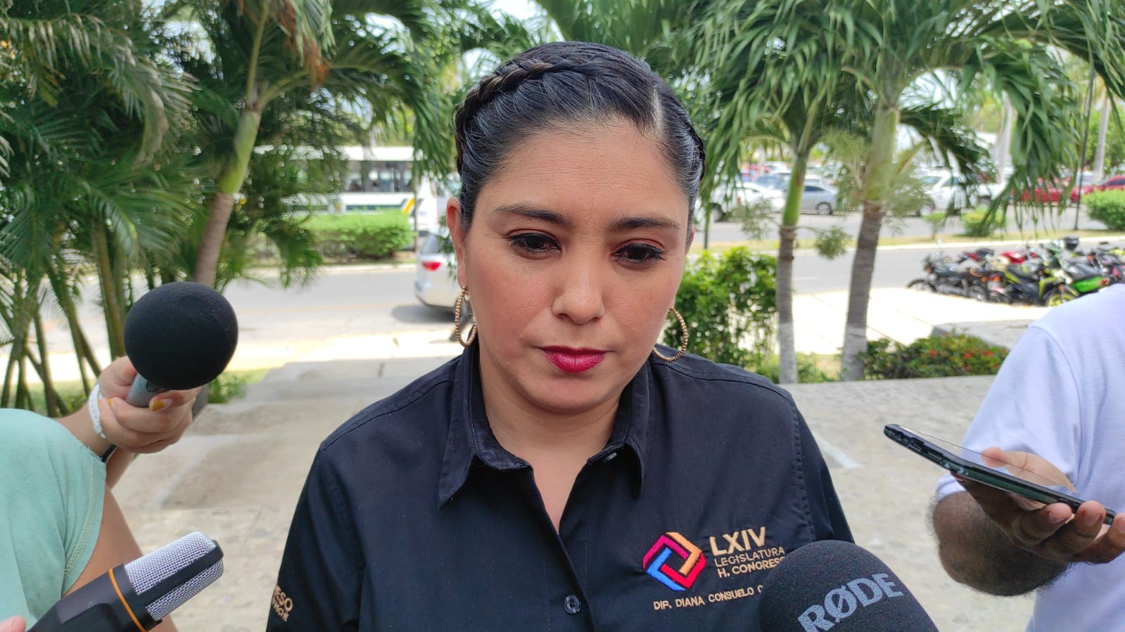 Diana Consuelo Campos Diana Consuelo Campos