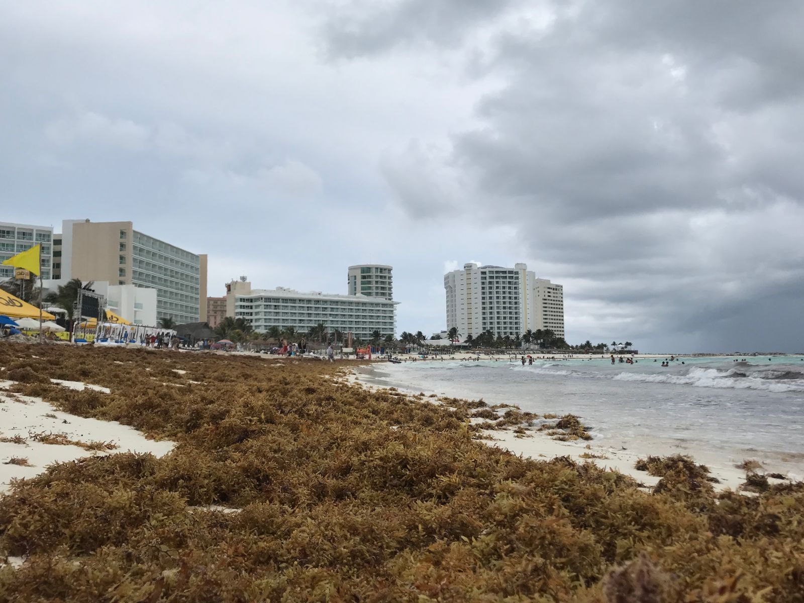El arribo de sargazo en Quintana Roo se mantiene en Categoría 8, que significa excesivo, según indicó la Semar a principios de Maya