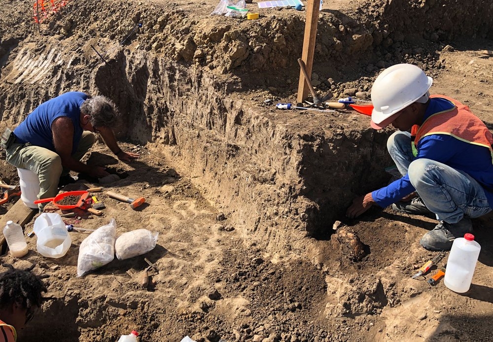 El INAH confirmpó el hallazgo de un sitio arqueológico de la cultura Aztatlán El INAH confirmpó el hallazgo de un sitio arqueológico de la cultura Aztatlán