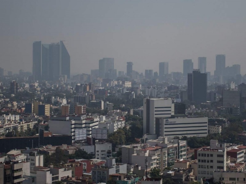 La mala calidad del aire puede irritar las vías respiratorias y provocar ataques de asma La mala calidad del aire puede irritar las vías respiratorias y provocar ataques de asma