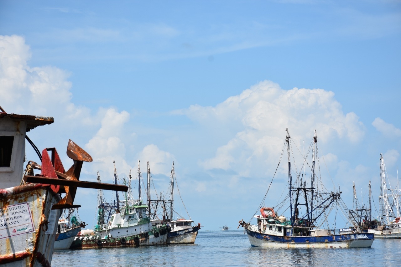 La pesca de camarón es una de las actividades principales en esta rama del empleo