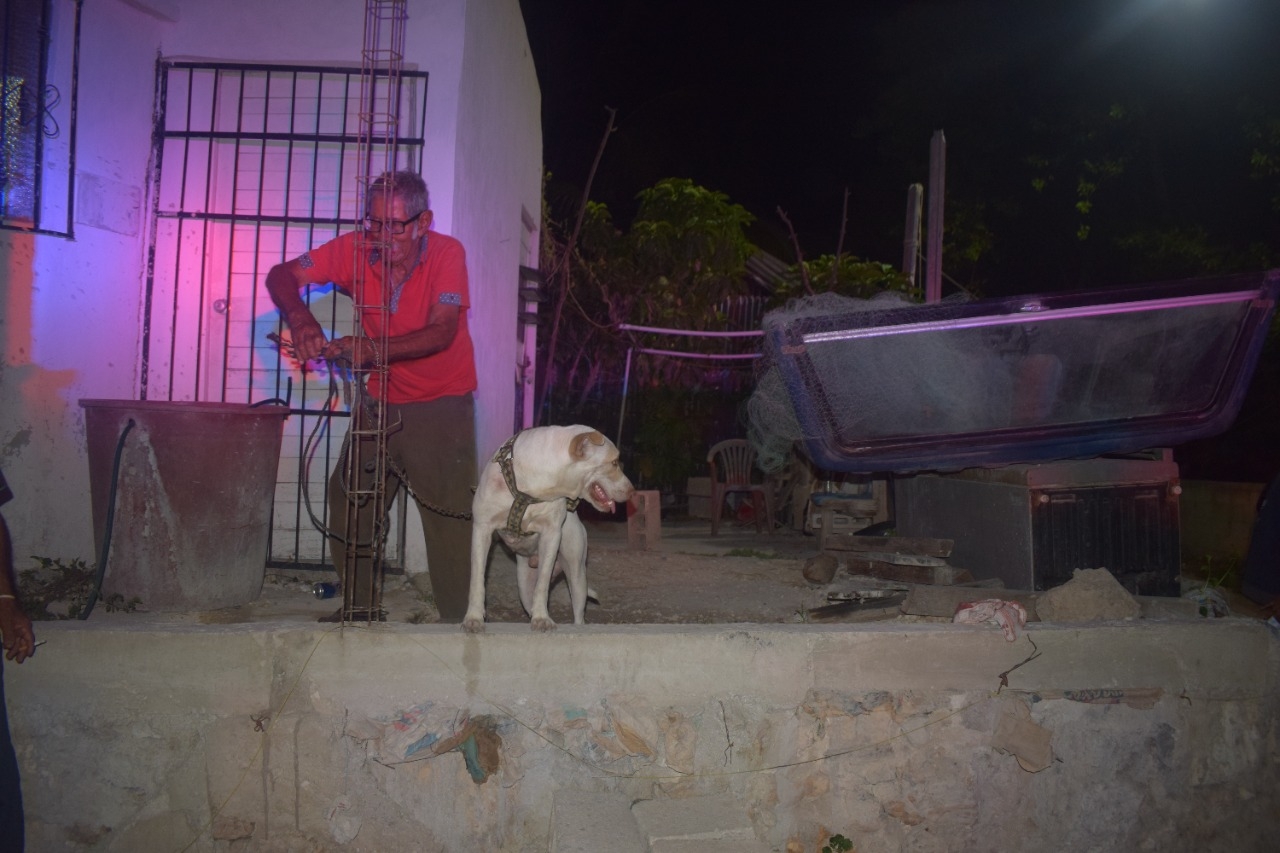 Patotas, un perro pitbull, mordió al agresor de su dueño para rescatarlo tras ser apuñalado en su vivienda Patotas, un perro pitbull, mordió al agresor de su dueño para rescatarlo tras ser apuñalado en su vivienda