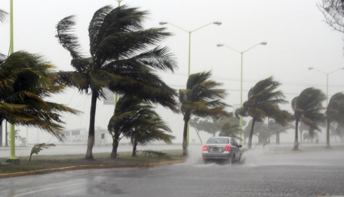 Es importante y necesario extremar precauciones