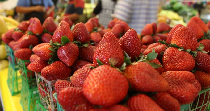 La Administración de Alimentos y Medicamentos de EU nvestiga el posible vínculo entre un brote de hepatitis A y fresas orgánicas frescas La Administración de Alimentos y Medicamentos de EU nvestiga el posible vínculo entre un brote de hepatitis A y fresas orgánicas frescas