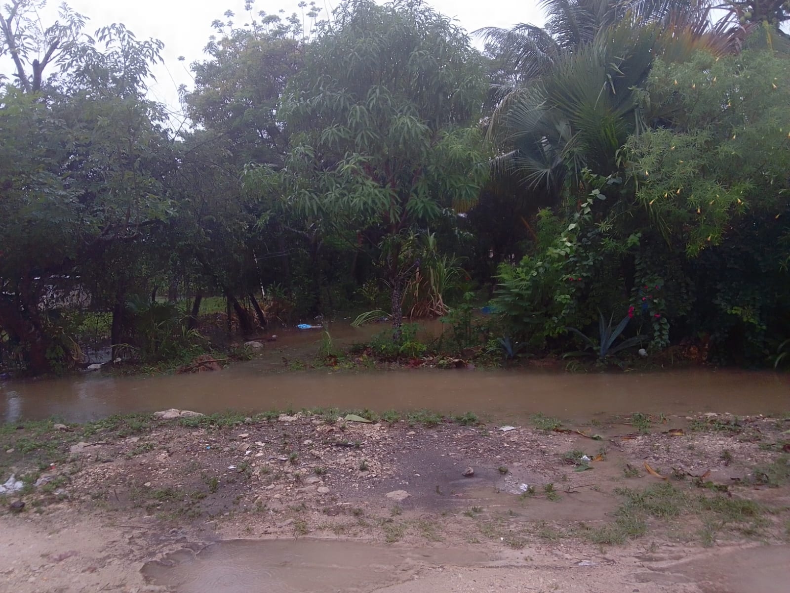 Algunas zonas del Sur de Quintana Roo presentan inundaciones y lodo causado por las lluvias que cayeron en horas pasadas