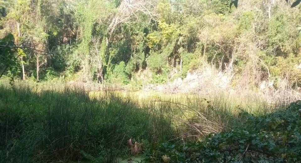 Eraclio Ac y Mex salió de su casa el pasado 28 de marzo en Espita, Yucatán, y no regresó Eraclio Ac y Mex salió de su casa el pasado 28 de marzo en Espita, Yucatán, y no regresó