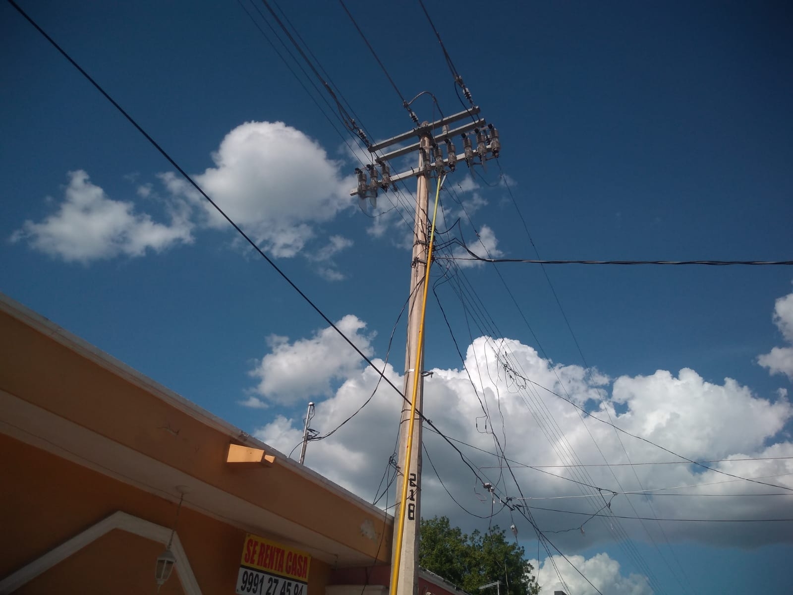 Paloma deja sin energía eléctrica a Chocholá después de chocar contra un poste