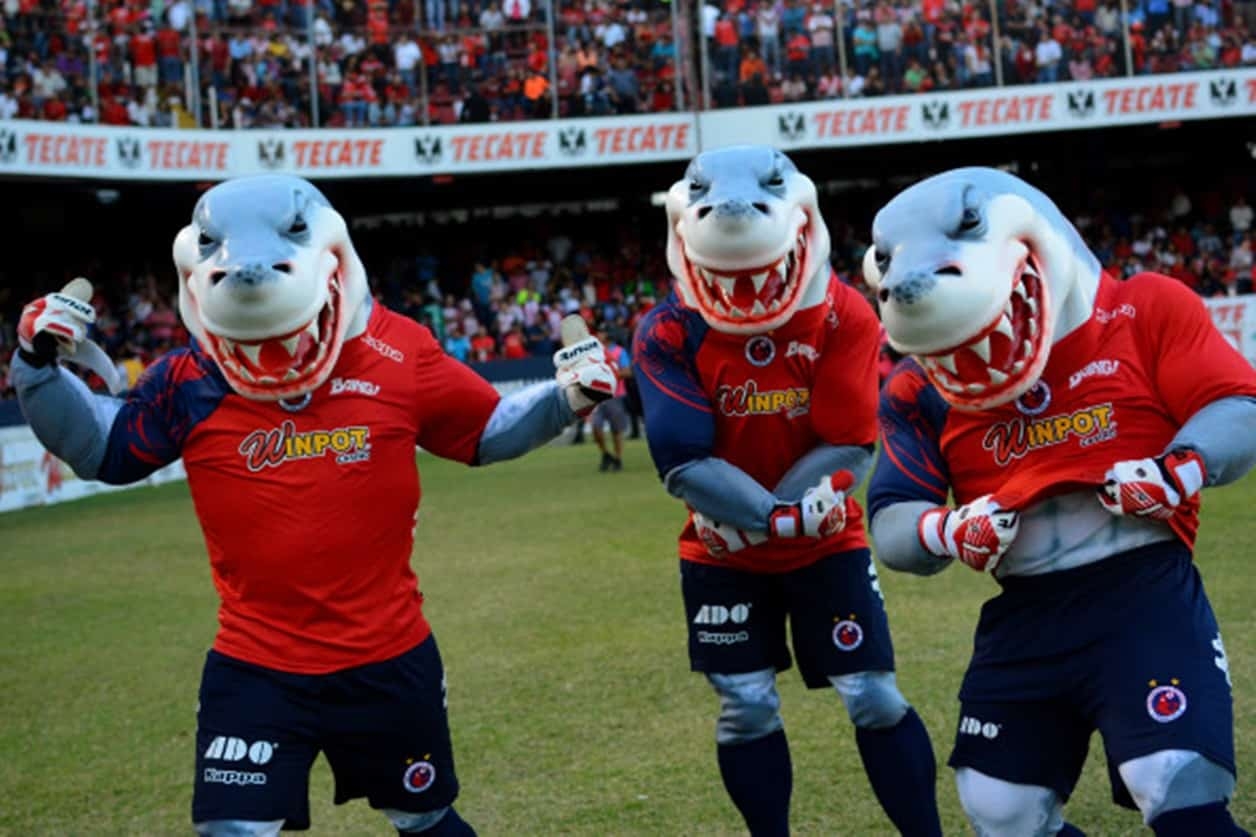 El estadio Luis Pirata Fuente fue la casa del los Tiburones Rojos de Veracruz durante muchos años, ahora luce en el abandono El estadio Luis Pirata Fuente fue la casa del los Tiburones Rojos de Veracruz durante muchos años, ahora luce en el abandono