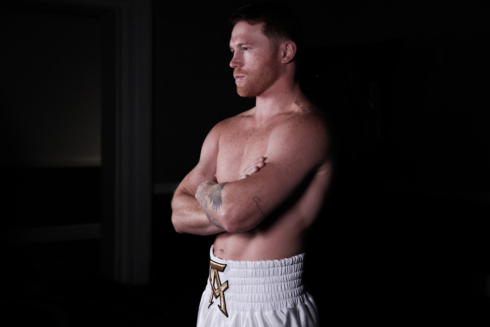 Canelo habría contratado a Tatiana para la fiesta de su hija y habría pagado